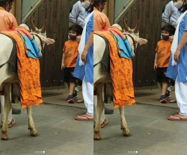 तैमूर ऑरेंज कलर की टीशर्ट और हॉफ ब्लैक पैंट में नजर आ रहे